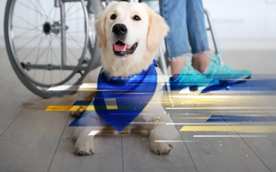 5 Reasons You Should Hire a Person with a Disability